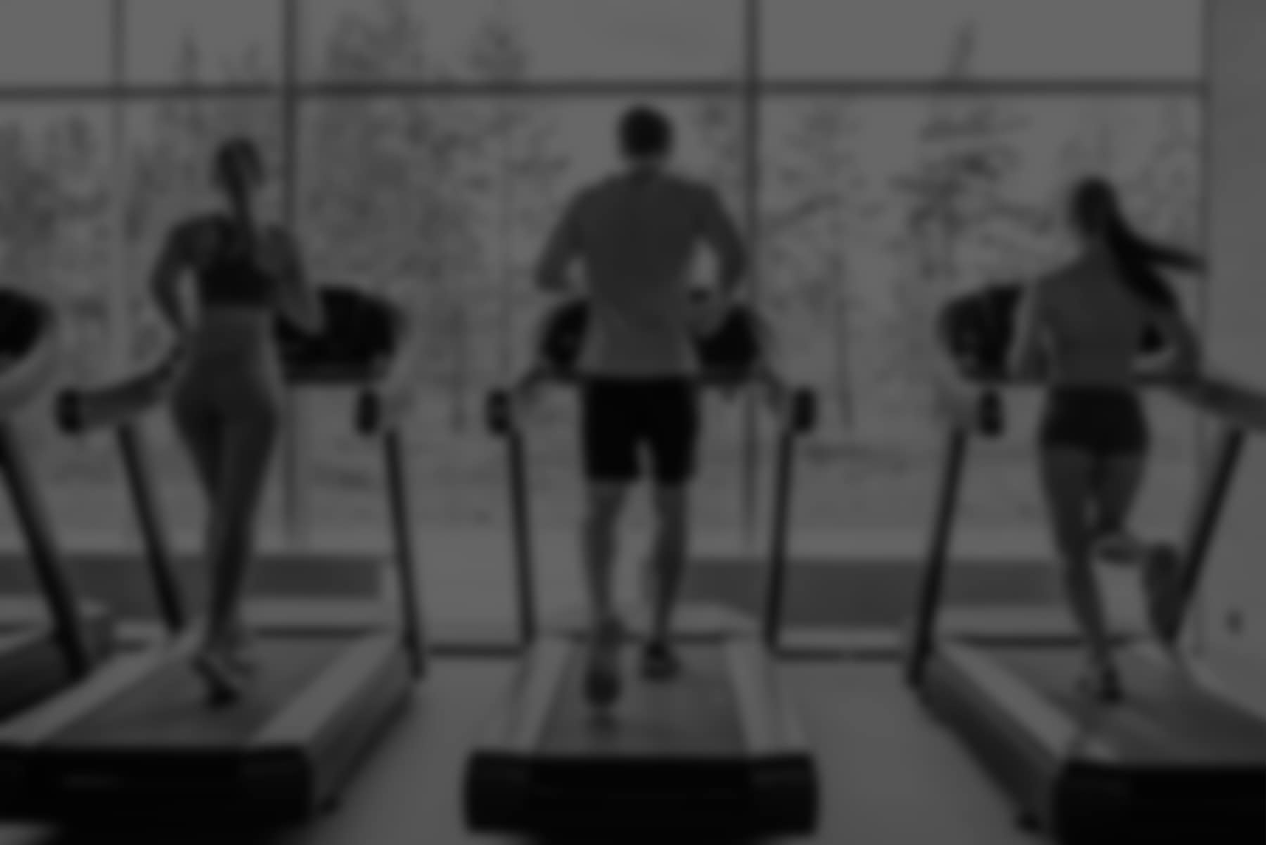 Members training on treadmills
